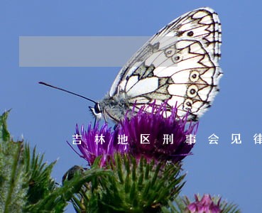 吉林地区刑事会见律师专业严谨 吉林地区刑事会见律师专业严谨