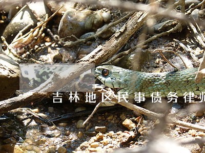 吉林地区民事债务律师怎么收费