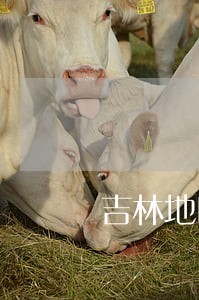 吉林地区永吉县离婚律师 吉林地区永吉县离婚律师