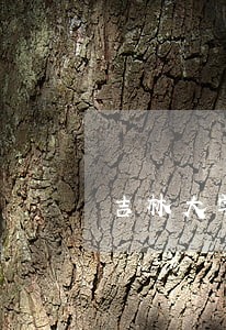 吉林大学刑法题库选择