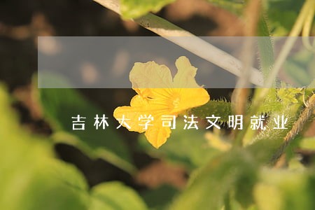 吉林大学司法文明就业