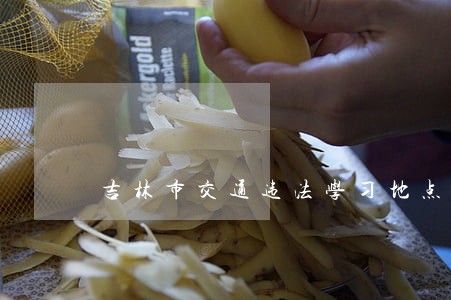 吉林市交通违法学习地点 吉林市交通违法学习地点