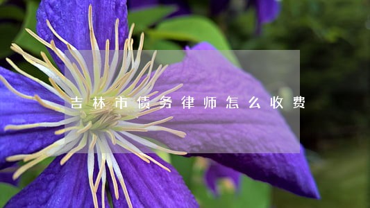 吉林市债务律师怎么收费