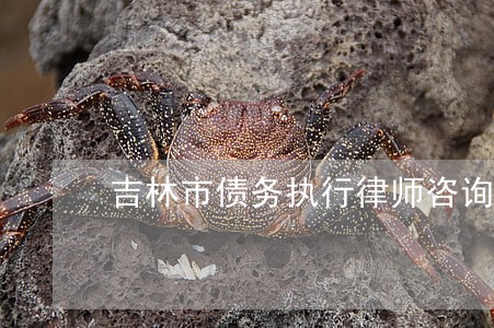 吉林市债务执行律师咨询 吉林市债务执行律师咨询