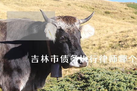 吉林市债务执行律师哪个好 吉林市债务执行律师哪个好