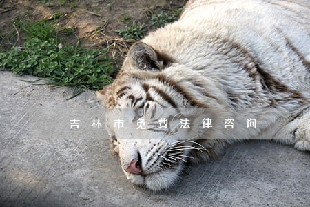 吉林市免费法律咨询 吉林市免费法律咨询