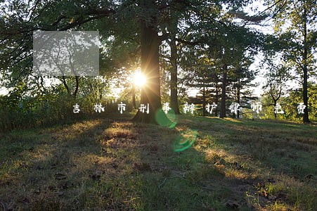 吉林市刑事辩护律师免费法律咨询