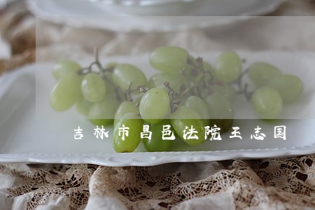 吉林市昌邑法院王志国 吉林市昌邑法院王志国
