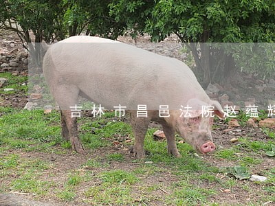 吉林市昌邑法院赵蕴辉