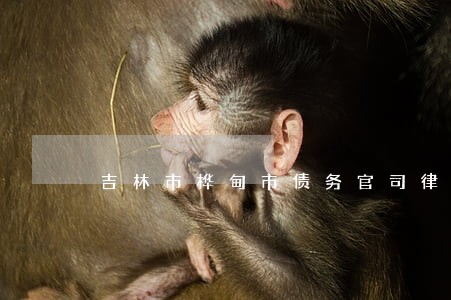 吉林市桦甸市债务官司律师事务所 吉林市桦甸市债务官司律师事务所