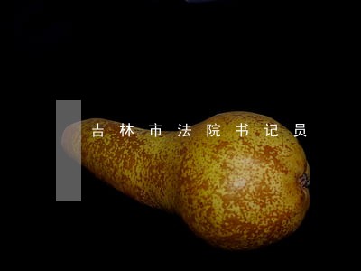 吉林市法院书记员 吉林市法院书记员