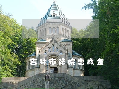 吉林市法院曹成金 吉林市法院曹成金
