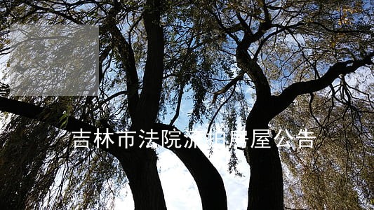 吉林市法院流拍房屋公告 吉林市法院流拍房屋公告