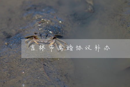 吉林市离婚协议补办 吉林市离婚协议补办