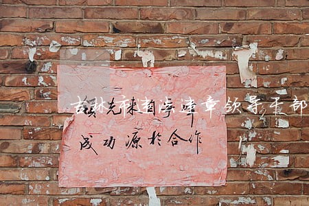 吉林市违法违章领导干部 吉林市违法违章领导干部