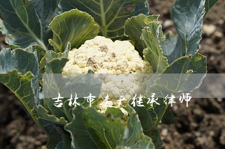 吉林市遗产继承律师 吉林市遗产继承律师