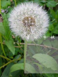 吉林市铁路运输法院怎么样