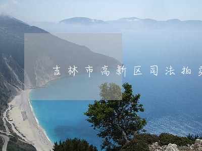 吉林市高新区司法拍卖信息 吉林市高新区司法拍卖信息