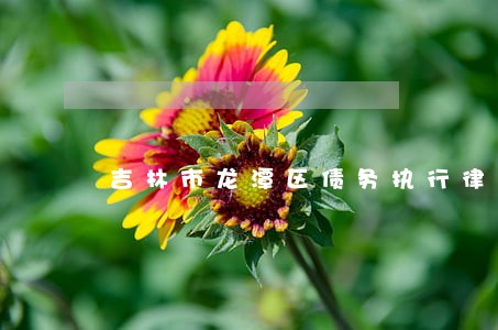 吉林市龙潭区债务执行律师事务所 吉林市龙潭区债务执行律师事务所