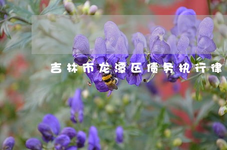 吉林市龙潭区债务执行律师所地址 吉林市龙潭区债务执行律师所地址