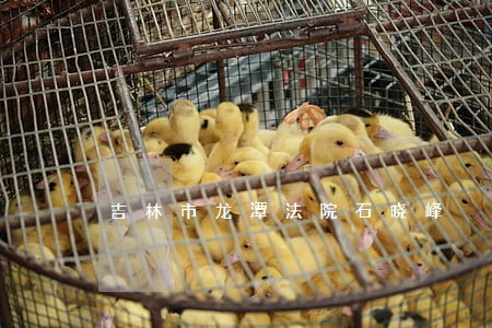 吉林市龙潭法院石晓峰 吉林市龙潭法院石晓峰