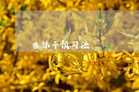 吉林干预司法 吉林干预司法