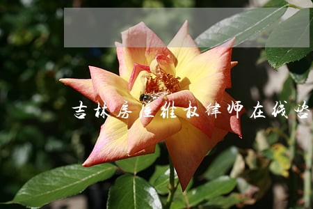 吉林房屋维权律师在线咨询 吉林房屋维权律师在线咨询