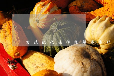 吉林敦化法律援助需要什么条件 吉林敦化法律援助需要什么条件
