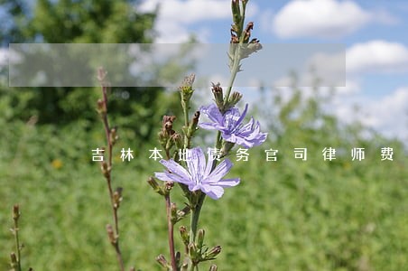 吉林本地债务官司律师费用多少 吉林本地债务官司律师费用多少