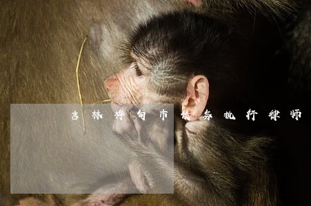 吉林桦甸市债务执行律师费用多少 吉林桦甸市债务执行律师费用多少