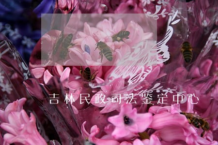 吉林民政司法鉴定中心 吉林民政司法鉴定中心