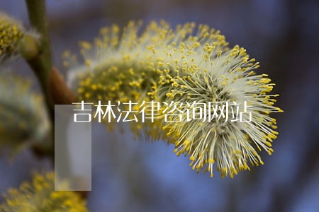 吉林法律咨询网站 吉林法律咨询网站