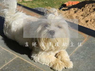 吉林法律援助主任