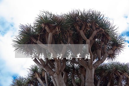 吉林法院冯其胜 吉林法院冯其胜