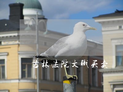 吉林法院文职买卖 吉林法院文职买卖
