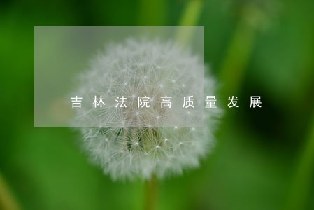 吉林法院高质量发展