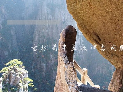 吉林省丰良法律咨询服务 吉林省丰良法律咨询服务