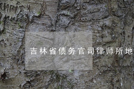吉林省债务官司律师所地址 吉林省债务官司律师所地址