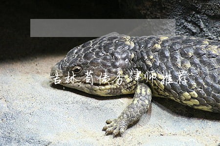 吉林省债务律师推荐 吉林省债务律师推荐