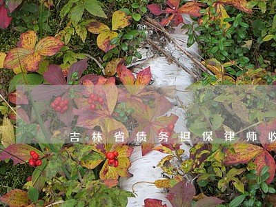 吉林省债务担保律师收费标准 吉林省债务担保律师收费标准