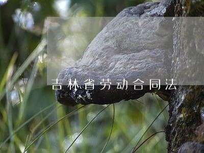 吉林省劳动合同法 吉林省劳动合同法