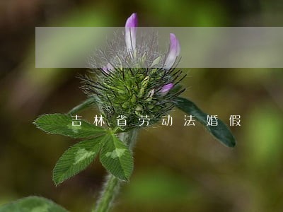 吉林省劳动法婚假