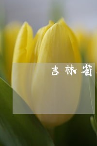 吉林省历届司法厅长 吉林省历届司法厅长