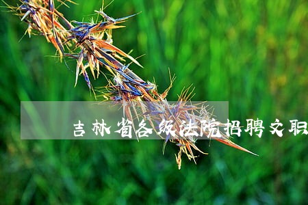 吉林省各级法院招聘文职人员时间 吉林省各级法院招聘文职人员时间