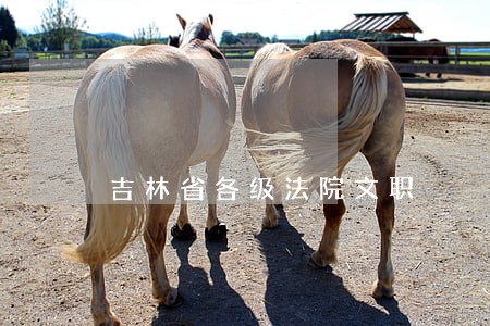 吉林省各级法院文职