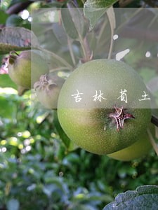 吉林省土地纠纷法律咨询 吉林省土地纠纷法律咨询