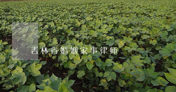 吉林省婚姻家事律师 吉林省婚姻家事律师