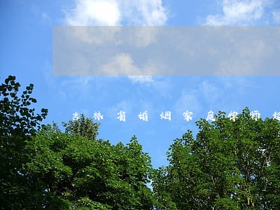 吉林省婚姻家庭律师起诉费用 吉林省婚姻家庭律师起诉费用