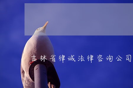 吉林省律诚法律咨询公司 吉林省律诚法律咨询公司