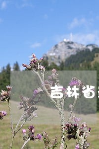 吉林省最大官员违法 吉林省最大官员违法